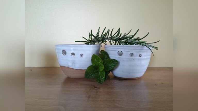 Maintenance Tips for Herb Stripper: Essential Care for Longevity