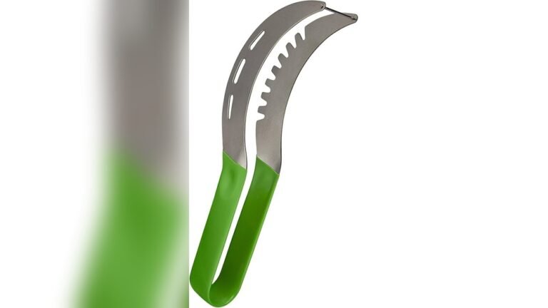 Top Benefits of Watermelon Slicer