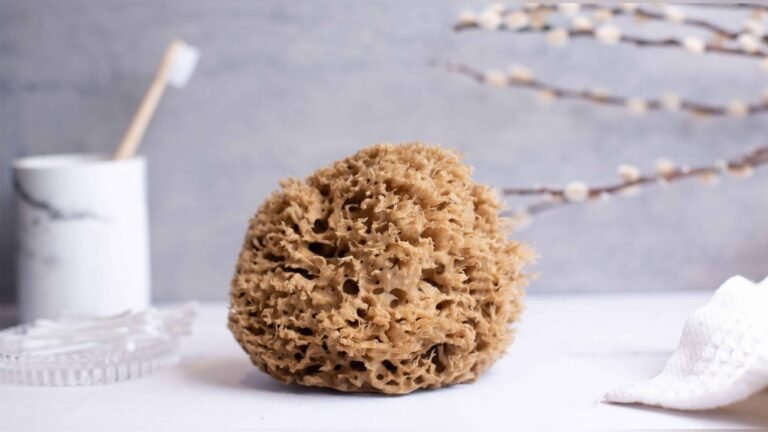 What are Sponges Made of | Surprising Facts You Need to Know