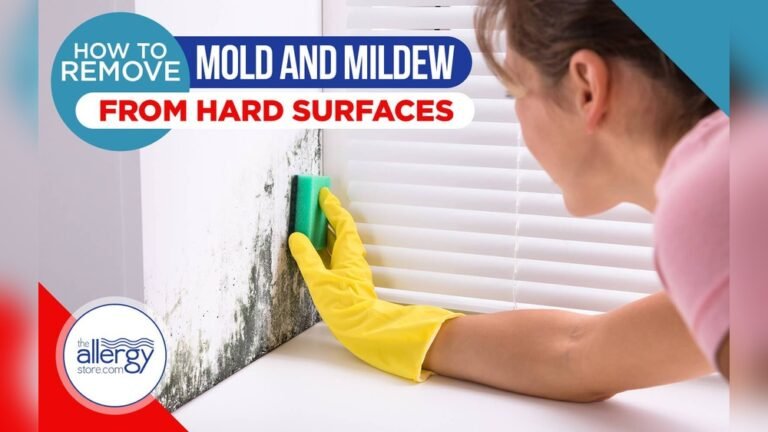 Best Way to Remove Mildew Quickly and Effectively