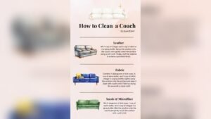 How to Clean Any Couch Expert Tips for a Fresh and Spotless Sofa