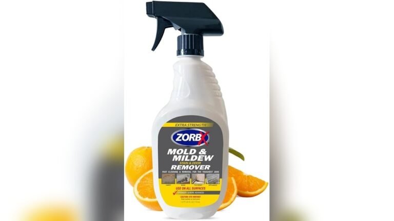 How to Remove Mold From Every Surface | Expert Tips and Tricks