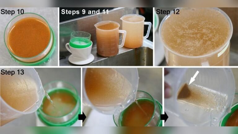 Separating Machine Eggs: A Complete Guide for Beginners